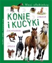 Nasi ulubieńcy Konie i kucyki chicago polish bookstore