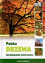 Polska Drzewa Encyklopedia ilustrowana - Anna Przybyłowicz online polish bookstore