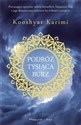 Podróż tysiąca burz DL online polish bookstore