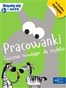 Pracowanki Ćwiczenia rozwijajace dla trzylatka  