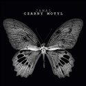Czarny motyl buy polish books in Usa