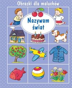 Nazywam świat. Obrazki dla maluchów books in polish