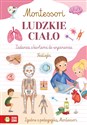 Ludzkie ciało. Montessori  online polish bookstore