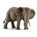 Samica słonia afrykańskiego - 