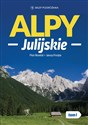 Alpy Julijskie Tom 1 books in polish