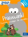Pracowanki Ćwiczenia rozwijajace dla czterolatków online polish bookstore