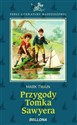 Przygody Tomka Sawyera - Mark Twain polish usa