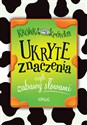 Ukryte znaczenia czyli zabawy słowami - Izabela Michta