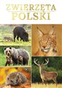 Zwierzęta Polski - Opracowanie Zbiorowe