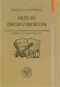 Przeciw dwóm zaborcom Polityczna konspiracja piłsudczykowska w kraju w latach 1939-1947 bookstore