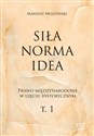 Siła norma idea Prawo międzynarodowe w ujęciu historycznym books in polish