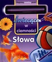 Świecące w ciemności Słowa Magiczny świetlny pisak! 