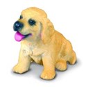 Pies rasy Golden Retriever szczenię - 