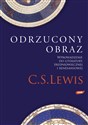 Odrzucony obraz Wprowadzenie do literatury średniowiecznej i renesansowej to buy in USA