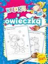 Koloruj z owieczką chicago polish bookstore