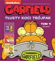 Garfield Tłusty koci trójpak Tom 11 - Jim Davis online polish bookstore