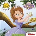 Disney Jej Wysokość Zosia books in polish