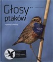 Głosy ptaków część 2  