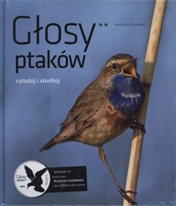 Głosy ptaków część 2  