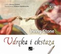 [Audiobook] Udręka i ekstaza - Irving Stone