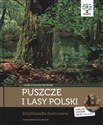 Puszcze i lasy Polski z płytą CD Encyklopedia ilustrowana - Ewa Kwiecień, Dorota Zawadzka to buy in USA