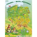 Puzzle Polska fizyczna polish books in canada