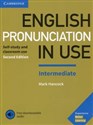 English Pronunciation in Use Intermediate Experience with downloadable audio Bookshop