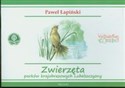 Zwierzęta parków krajobrazowych Lubelszczyzny - Paweł Łapiński