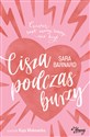 Cisza podczas burzy in polish