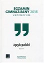 Egzamin gimnazjalny 2018 Język polski Vademecum books in polish
