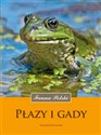 Płazy i gady online polish bookstore