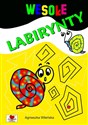 Wesołe labirynty  - Polish Bookstore USA