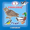 Pokoloruj Ptaki  online polish bookstore