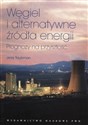 Węgiel i alternatywne źródła energii Prognozy na przyszłość  