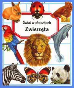 Zwierzęta. Świat w obrazkach buy polish books in Usa