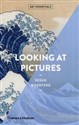 Looking at Pictures Art Essentials Series polish books in canada