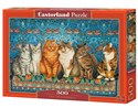 Puzzle Cat Aristocracy 500 - 