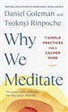 Why We Meditate - Daniel Goleman, Tsoknyi Rinpoche  