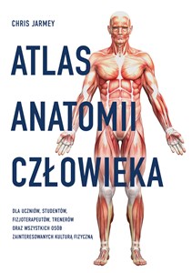 Atlas anatomii człowieka Bookshop