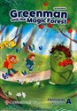 Greenman and the Magic Forest Level A Flashcards polish usa