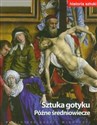 Sztuka gotyku Późne średniowiecze Tom 6 pl online bookstore