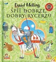 Śpij dobrze dobry rycerzu - David Melling