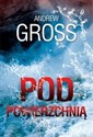 Pod powierzchnią - Andrew Gross