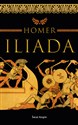 Iliada (wydanie pocketowe)  Polish bookstore