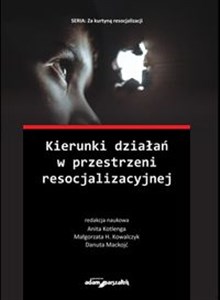 Kierunki działań w przestrzeni resocjalizacyjnej online polish bookstore