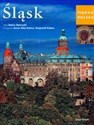 Piękna Polska 6 Śląsk buy polish books in Usa