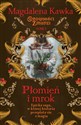 Płomień i mrok online polish bookstore