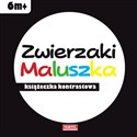 Zwierzaki Maluszka - książeczka kontrastowa - Opracowanie Zbiorowe