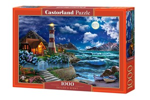 Puzzle 1000 Sailor's Night Bookshop