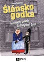 Ślónsko godka Ilustrowany słownik dla Hanysów i Goroli - Joanna Furgalińska bookstore
